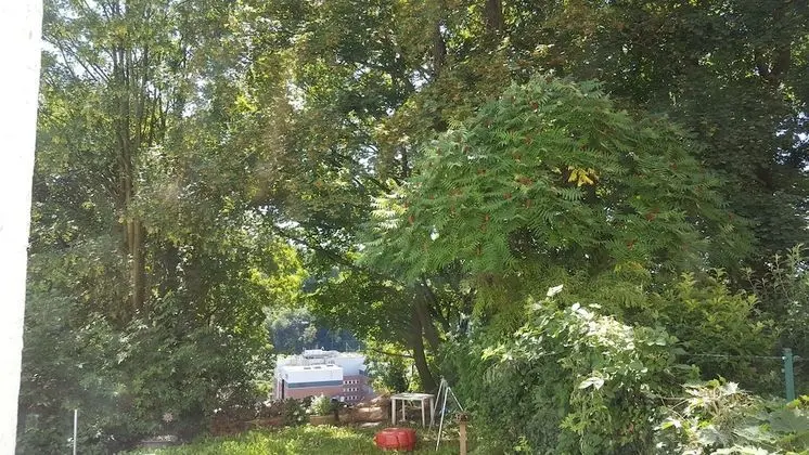 - SP Hotels - Apartment am Nützenberg