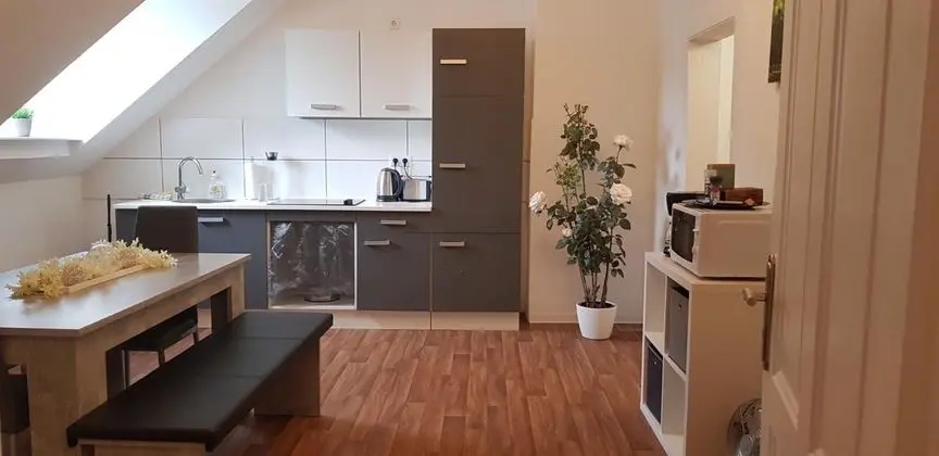 SP Hotels- Apartment an der Wiesenstraße - Mutfak