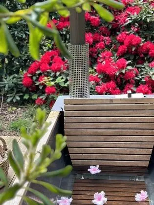 Hotel Spa Les Pins De César - Dış Mekan