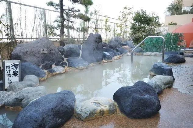 Spa & Hotel Maihama Eurasia - Havuz