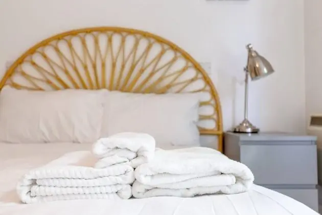 Spacious 1 Bed Apartment Near Shoreditch Park