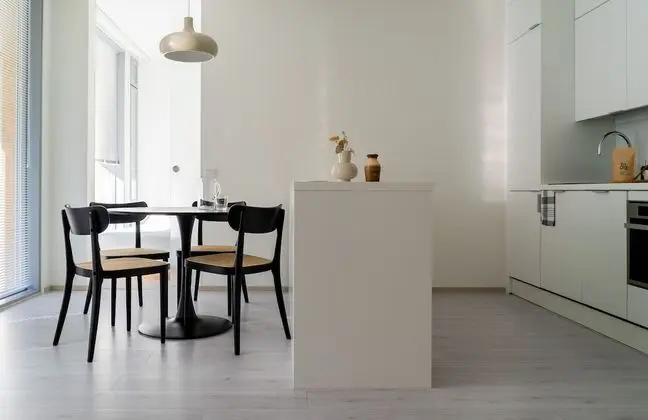 Spacious 2 br apartment in city center - Mutfak