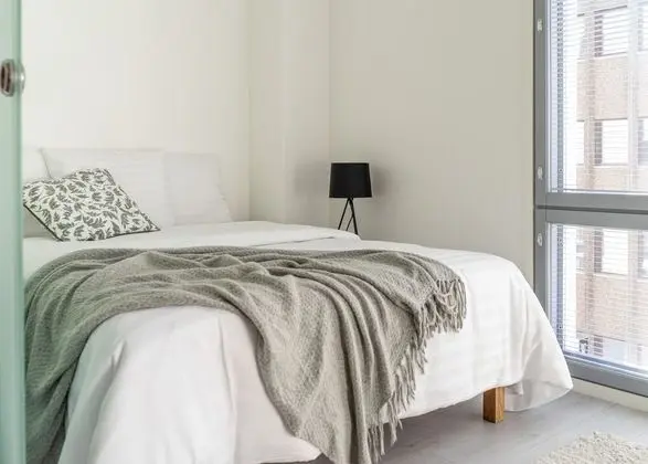 Spacious 2 br apartment in city center - Oda