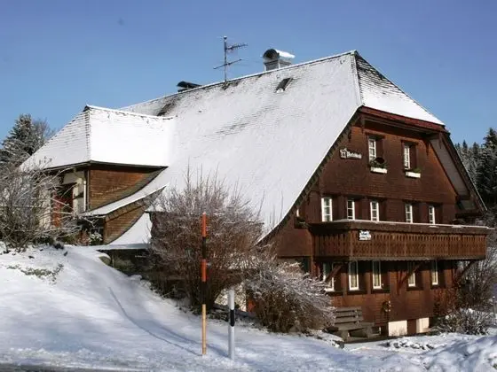 Spacious Apartment in a Black Forest House With Common Room - Dış Mekan