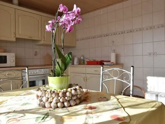 Spacious Apartment in Brusow With Garden - Mutfak