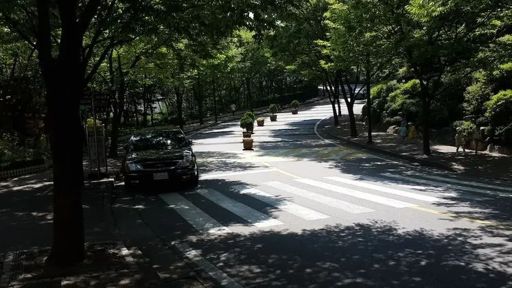 Spacious Apartment in Central Seoul - Lobi