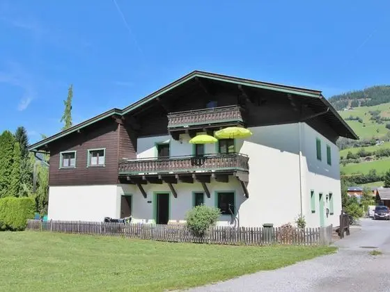 Spacious Apartment near Ski Area in Niedernsill - Dış Mekan