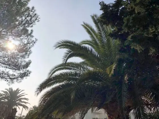 Spacious Apartment in Novalja near Sea - İç Mekan