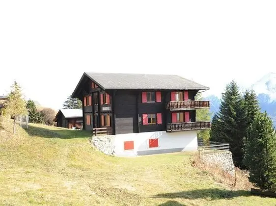 Spacious Apartment in Riederalp near Ski Trail