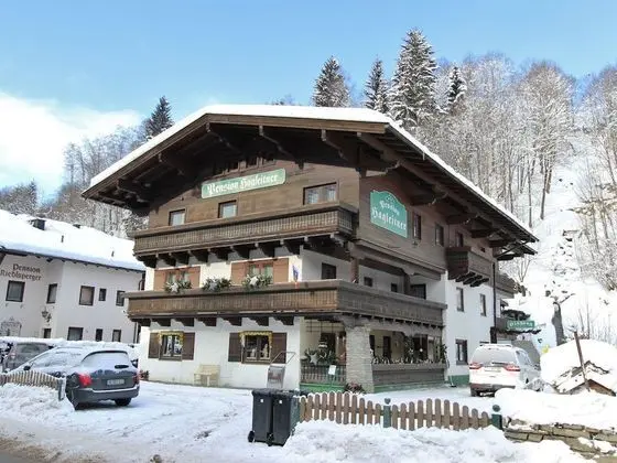 Spacious Apartment in Saalbach-hinterglemm near Ski Area