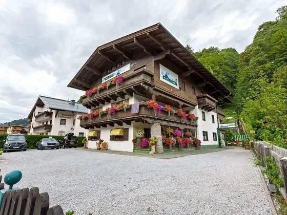 Spacious Apartment in Saalbach-hinterglemm near Ski Area - Öne Çıkan Resim