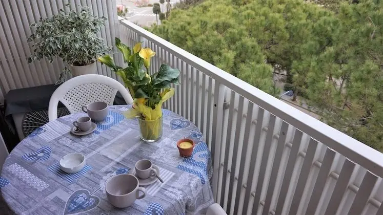 Spacious Apartment With Terrace in a Quiet Area in the Centre of Lignano Pineta