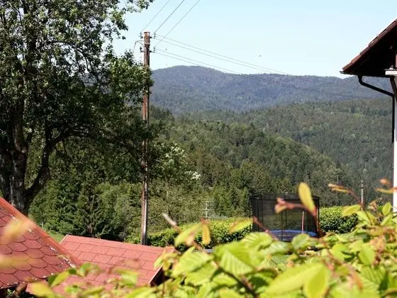 Spacious Apartment in Wehrhalden near Cross Country Skiing - Dış Mekan