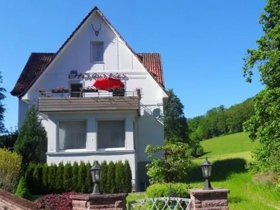 Spacious Apartment in Weser Uplands With Garden - Dış Mekan