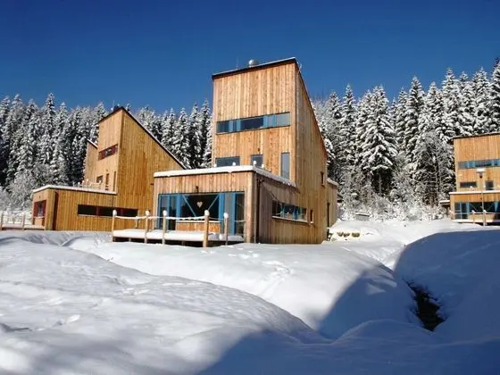 Spacious Chalet in Residential Area, Modern, Luxury Interior, Large Terrace - 1