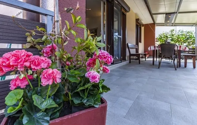Spacious and Comfortable Apartment in Medulin, Croatia - Oda Düzeni