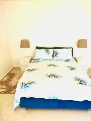 Spacious Downtown Flat