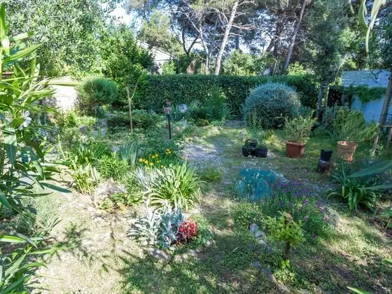 Spacious Holiday Home in Molat With Pool - Dış Mekan