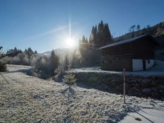 Spacious Holiday Home near Ski Area in Leogang - Dış Mekan