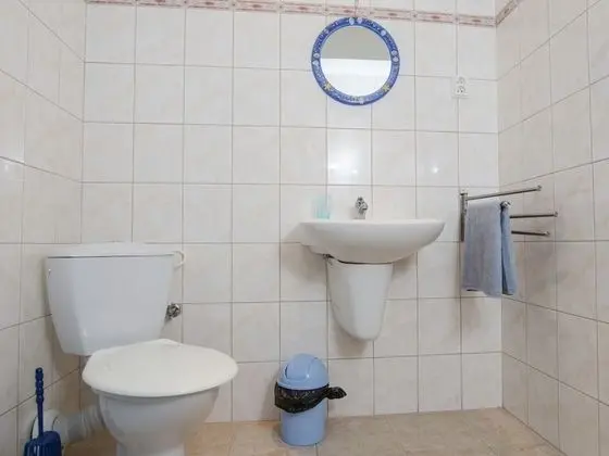 Spacious Holiday Home in Rudnik With Private Pool - Banyo Tipleri