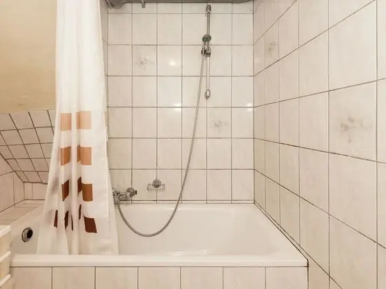 Spacious Holiday Home in Vielsalm With Garden - Banyo Tipleri