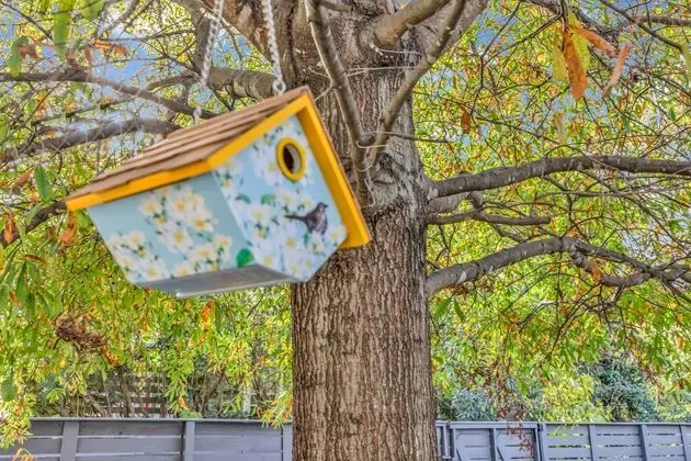 Spacious House in Charlotte - Dış Mekan