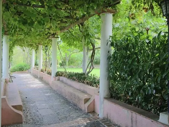 Spacious Mansion in Parghelia near Sea - Dış Mekan