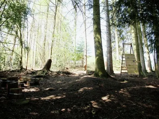 Spacious Pet-friendly Castle in Stavelot - Genel