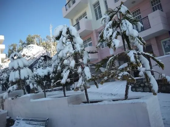 Spangle Heights - Shimla, Suites & Residences - Dış Mekan