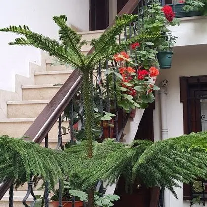 Villa Sphendone Suites - Lobi