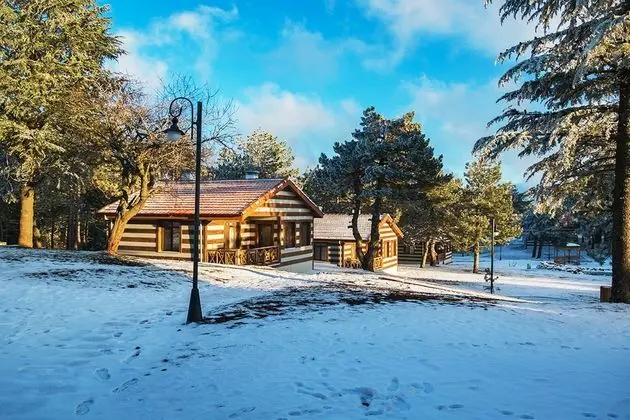 Spil Orman KoskleriFotoğrafı