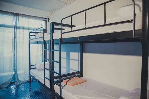 Spinning Bear Hostel - Oda