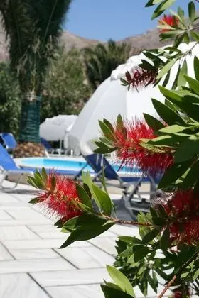 Spiros & Hiroko Hotel - Adults Only - Havuz