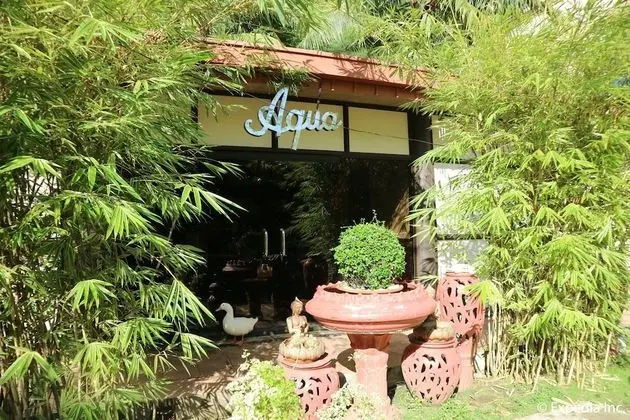 Splash Mountain Resort Hotel - Spa