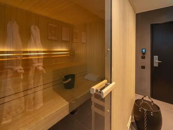 Splendid Hotel Annecy - Spa