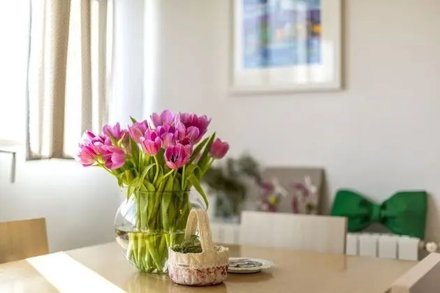 Split Apartments with Hotel Service - Oda Düzeni