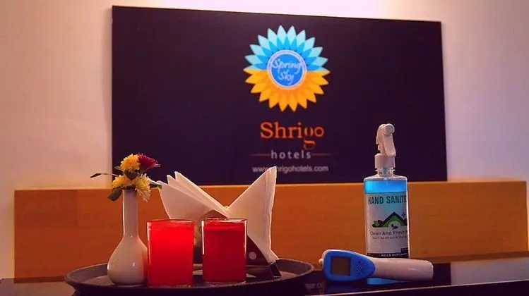 Spring Sky Gurgaon by ShriGo Hotels - Lobi
