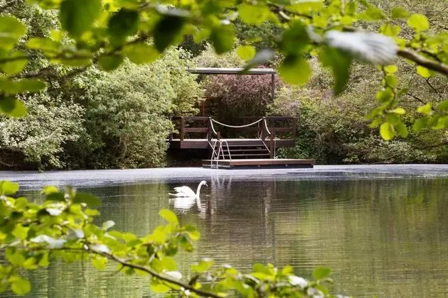 Springbach-Mühle Belzig - Genel