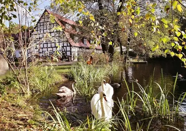 Springbach-Mühle Belzig - 1