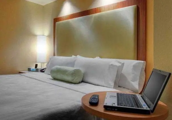 SpringHill Suites Baton Rouge North/Airport - Genel