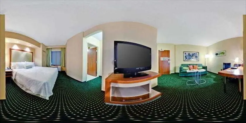 SpringHill Suites Baton Rouge North/Airport - Genel