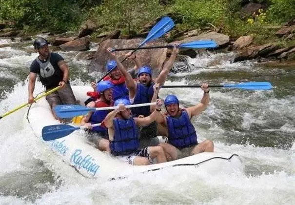 SpringHill Suites Chattanooga Downtown/Cameron Har