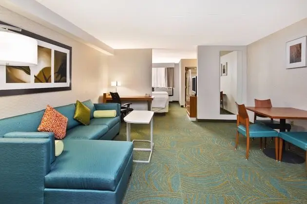 Springhill Suites Chicago Southwest at Burr Ridge/Hinsdale - Oda
