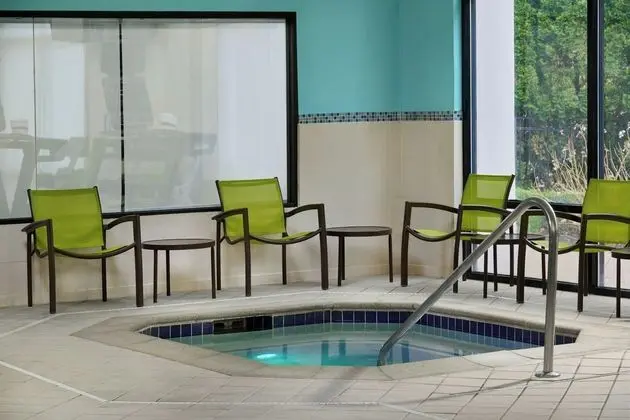 SpringHill Suites Detroit Southfield - Havuz