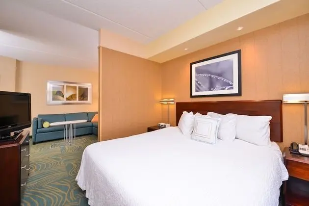 SpringHill Suites by Marriott Arundel Mills BWI Airport - Oda
