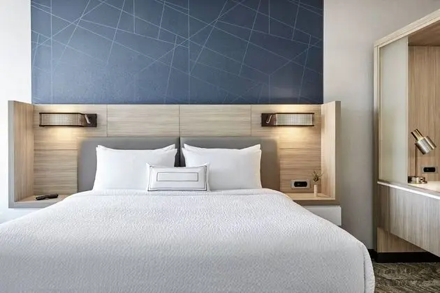SpringHill Suites by Marriott Atlanta Alpharetta/Roswell - Oda