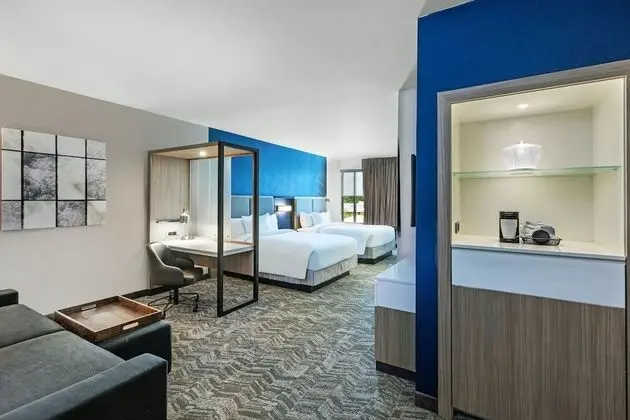 SpringHill Suites by Marriott Austin West/Lakeway - Oda