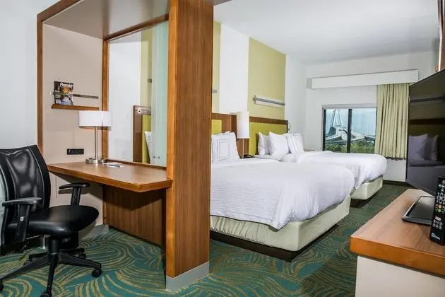 Springhill Suites by Marriott Charleston Mount Pleasant - Oda