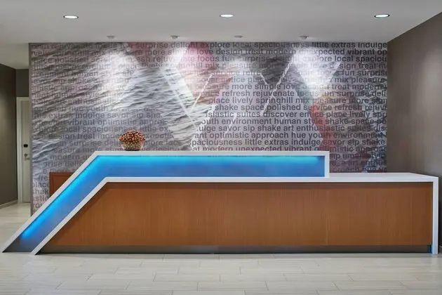 SpringHill Suites by Marriott Charlotte at Carowinds - Lobi