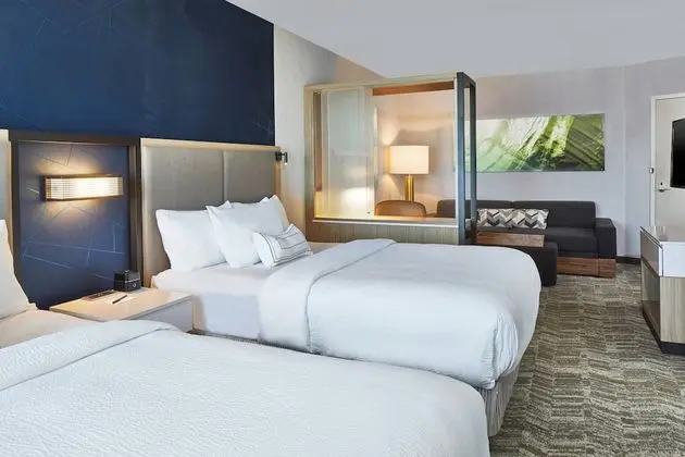 SpringHill Suites by Marriott Charlotte at Carowinds - Oda